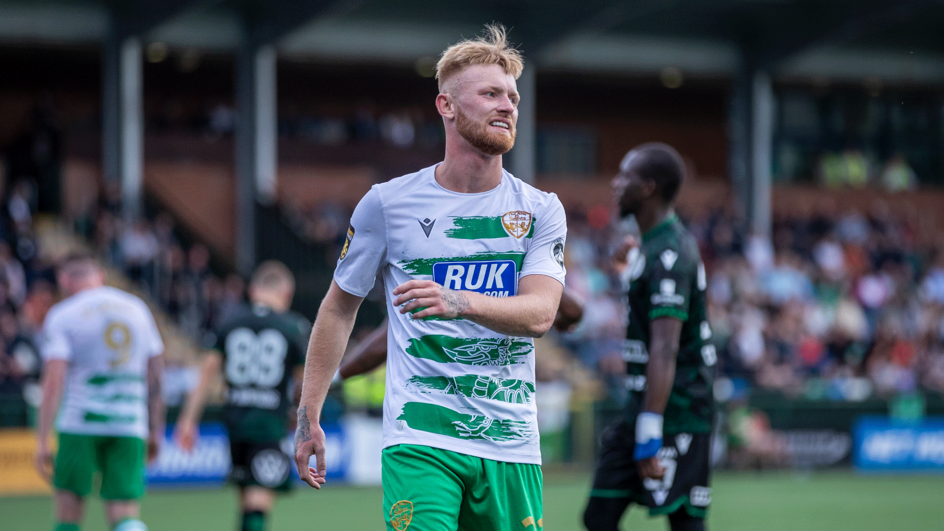 Welsh Champions TNS Bring Back Forward Young