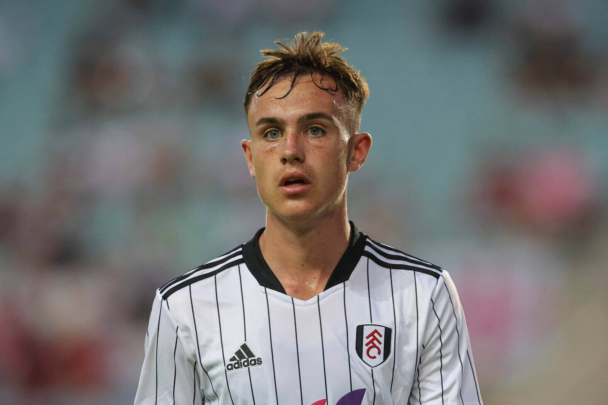 Wigan Complete Loan Deal for Fulham's Harris